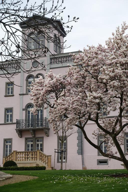 Hotel Rittergut Rottewitz Meißen Exterior foto